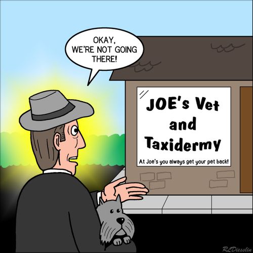 Joe's Vet and Taxidermy