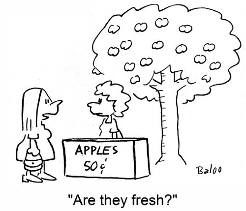 Apples, 50c: 'Are they fresh?'