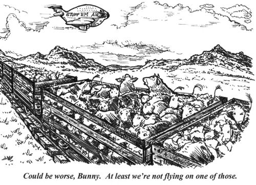 'Could be worse, Bunny. At least we're not flying on one of those.'