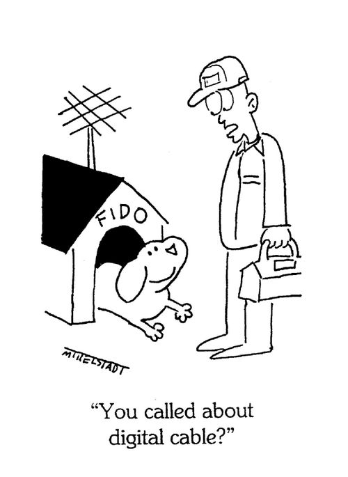 'You called about digital cable?'