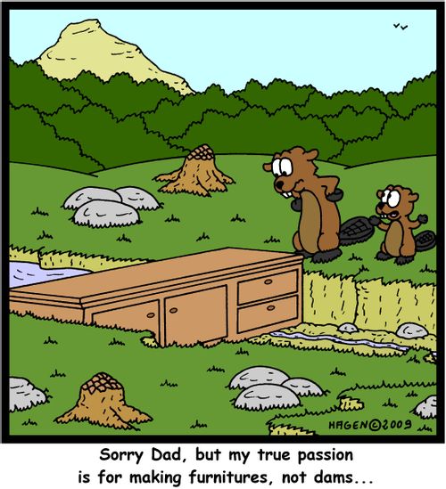 'Sorry Dad, but my true passion is for making furnitures, not dams...'