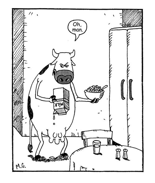 A Cow runs out of Milk.