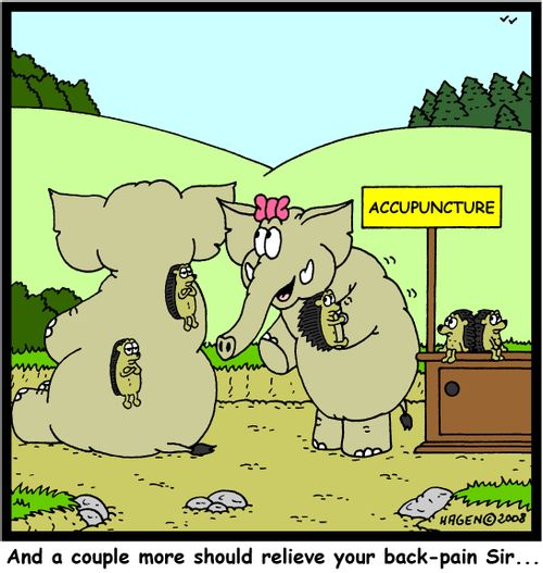 'And a couple more should relieve your back-pain Sir...'