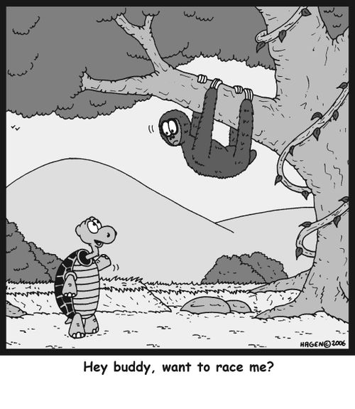 'Hey buddy, want to race me?'