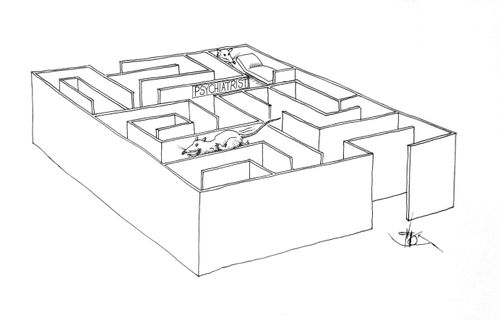 A psychiatrist is at the end of the maze.