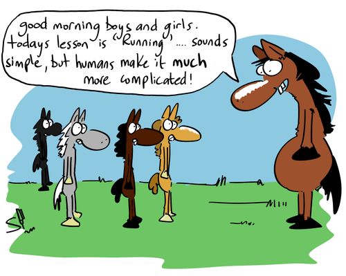 'Good morning boys and girls. Today's lesson is 'running'...sounds simple, but humans make it much more complicated!'