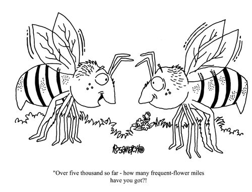 'Over five thousand so far - how many frequent-flower miles have you got?'