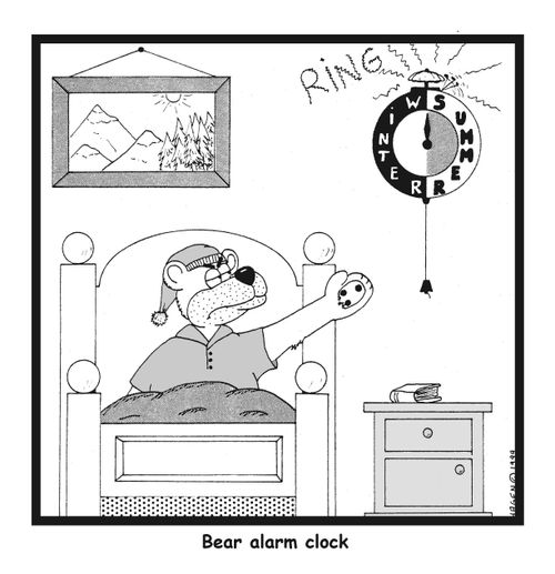 Bear Alarm Clock