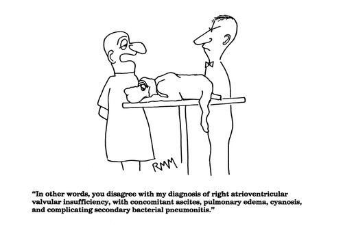 'In other words, you disagree with my diagnosis...'