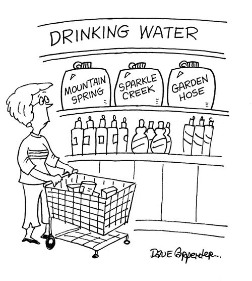 Drinking water: Mountain Spring / Sparkle Creek / Garden Hose.