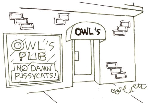 Owl's Pub: 'NO damn pussycats!