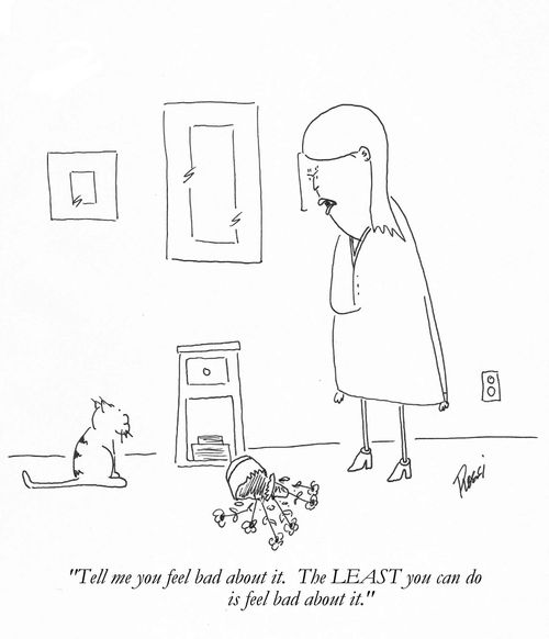 'Tell me you feel bad about it. The least you can do is feel bad about it.'