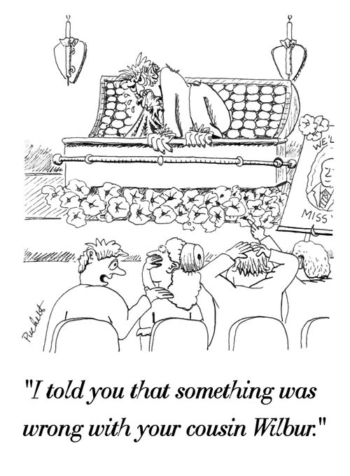 'I told you that something was wrong with your cousin Wilbur.'