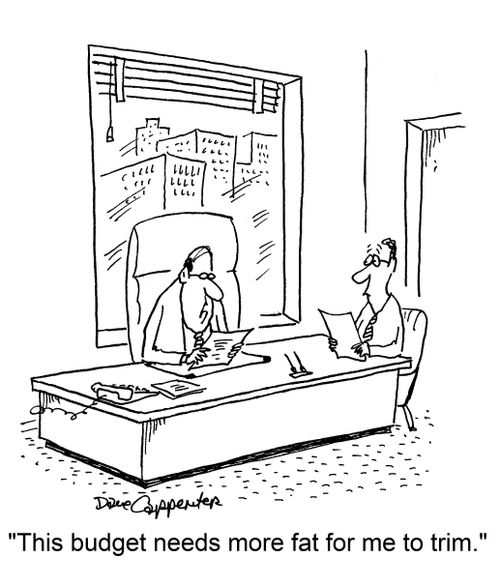 "This budget needs more fat for me to trim."