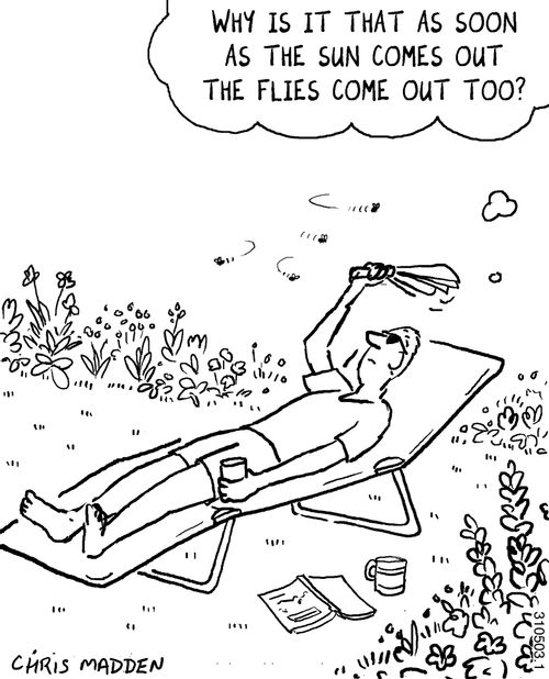 'Why is it that as soon as the sun comes out the flies come out too.'