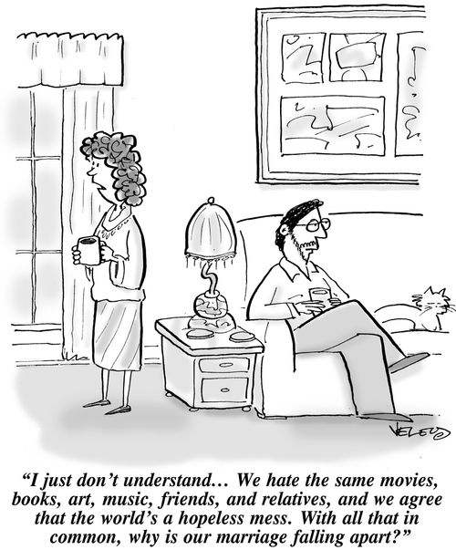 'I just don't understand... We hate the same movies, books, art, music, friends and relatives, and we agree that the world's a hopeless mess. With all that in common, why is our marriage falling apart?'