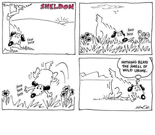 'Nothing beats the smell of wild urine.'