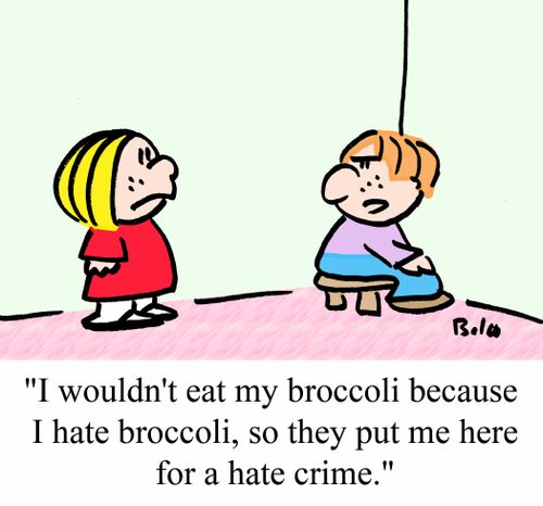 "I wouldn't eat my broccoli because I hate broccoli, so the put me here for a hate crime."