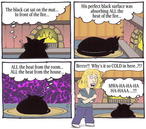 The black cat sat on the mat...absorbing all the heat of the fire.