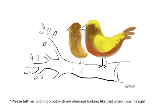Please tell me I didn't go out with my plumage looking like that when I was his age!