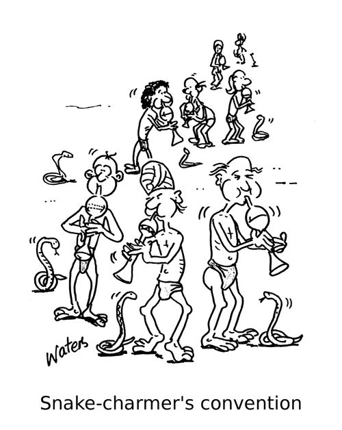 Snake -charmer's convention