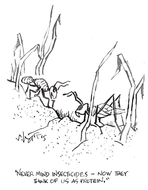 'Never mind insecticides - now they think of us as protein.'