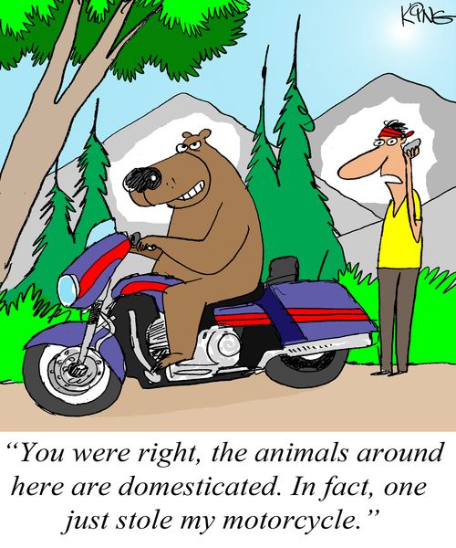 'You were right, the animals around here are domesticated. In fact, one just stole my motorcycle.'