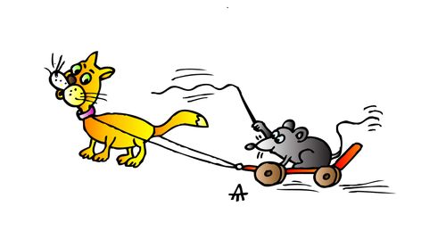 Cat and mouse