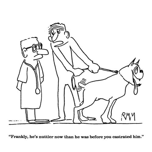 'Frankly, he's nuttier now than he was before you castrated him.'