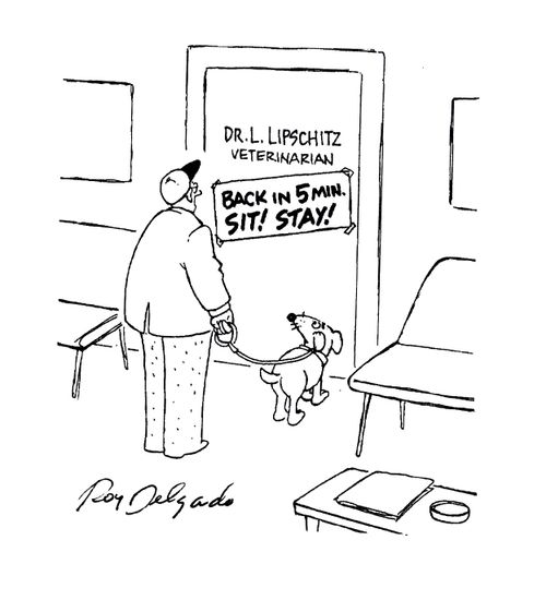 Veterinarians: Back in 5 Min. Sit! Stay!