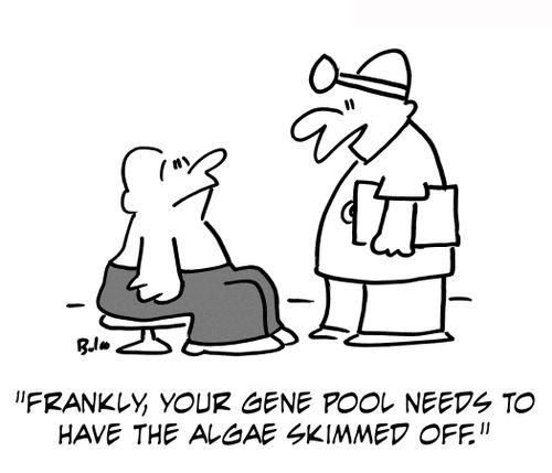 'Frankly, your gene pool needs to have the algae skimmed off.'