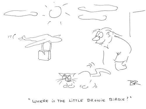 "Where is the little dronie birdie?"
