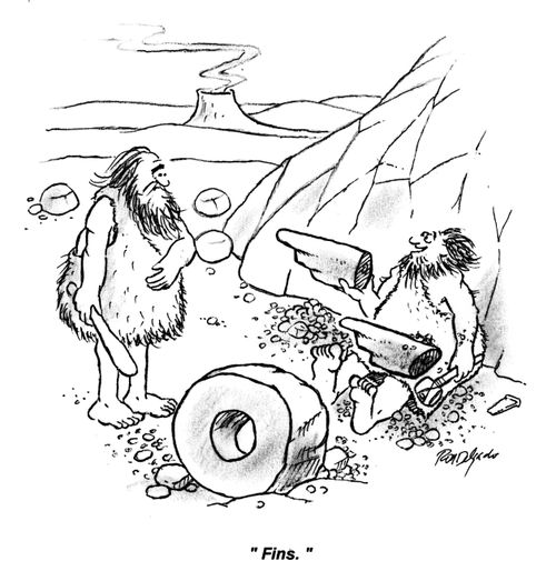 'Fins.'