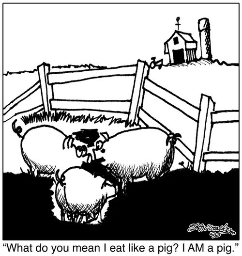 'What do you mean I eat like a pig? I AM a pig.'
