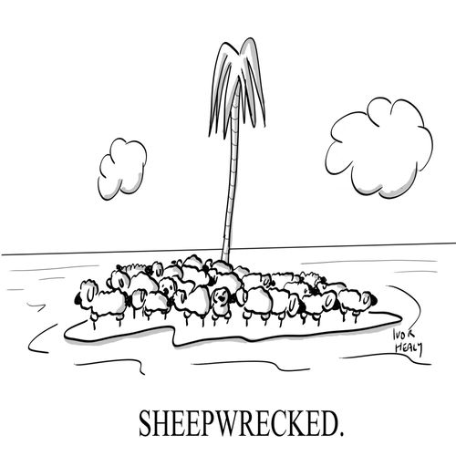 Sheepwrecked