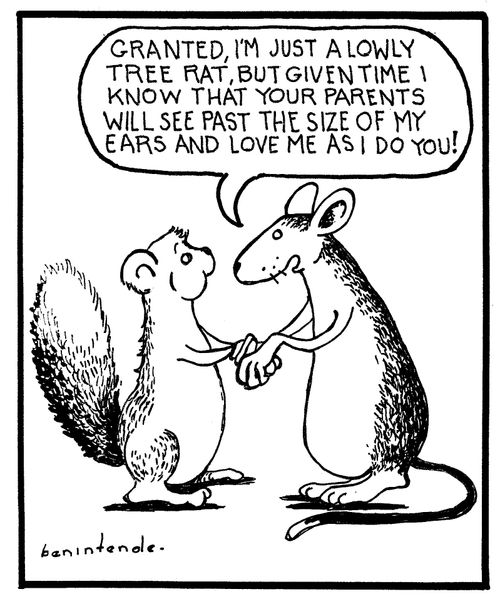 "Granted, I'm just a lowly tree rat, but given time I know that your parents will see past the size of my ears and love as I do you!"
