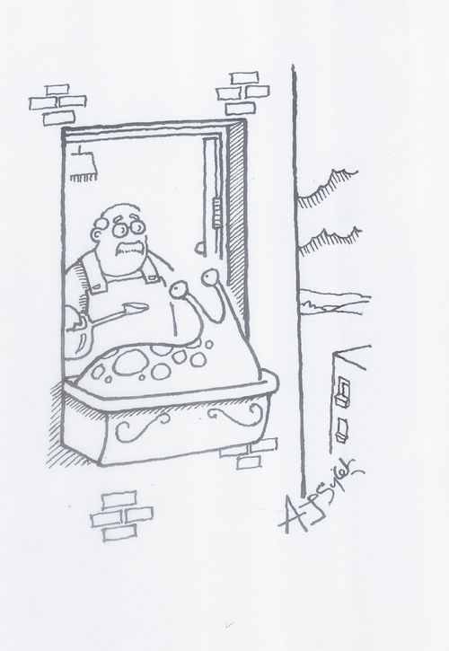 Gardener with window box and giant slug.