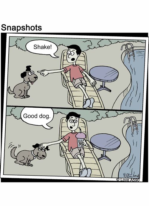 "Shake! Good dog."