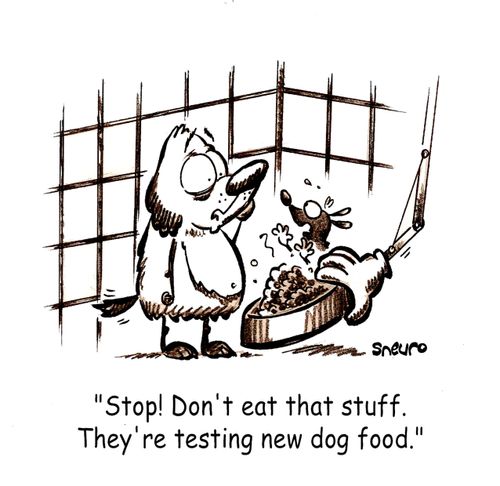 They're testing new dog food!