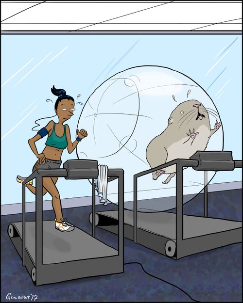 One Fine Day at the Gym
