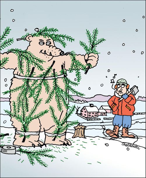 Why bears come out of hibernation at Christmas.