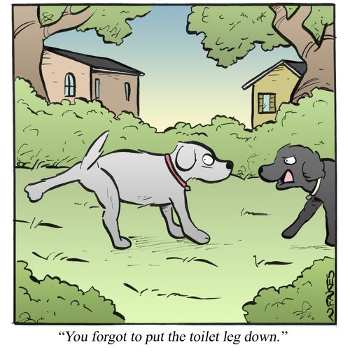 'You forgot to put the toilet leg down.'