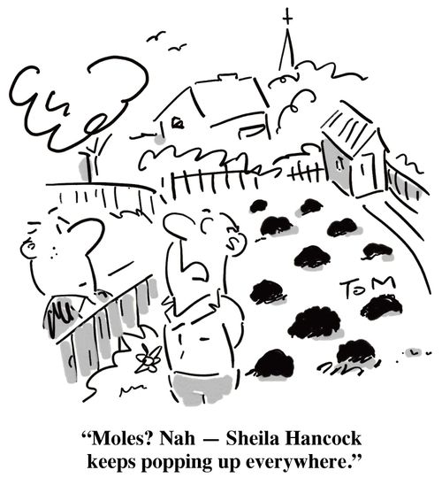 'Moles? Nah - Sheila Hancock keeps popping up everywhere.'