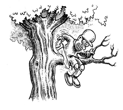Stupid Tree Surgeon.