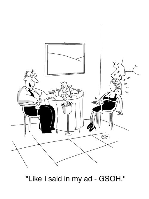 'Like I said in my ad - GSOH.'