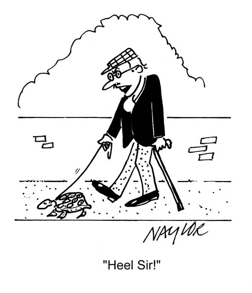Heel, sir!