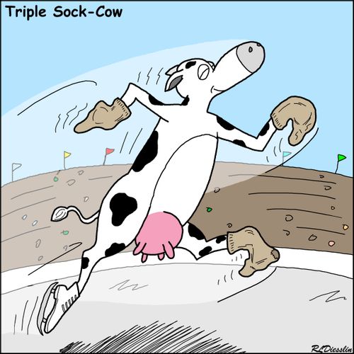 Triple Sock Cow