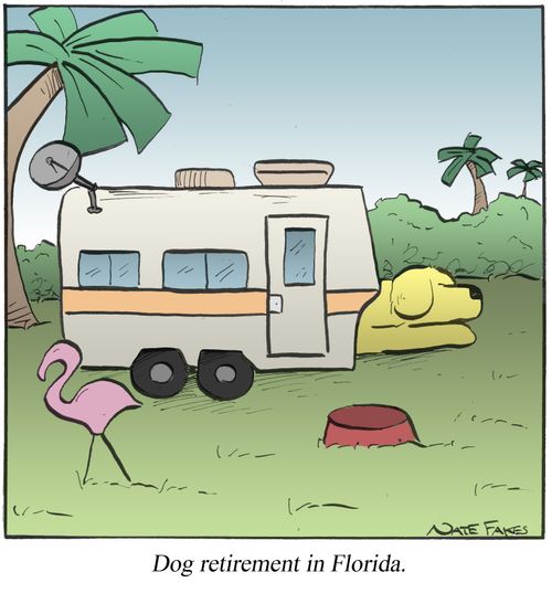 Dog retirement in Florida.