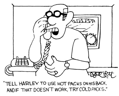 'Tell Harley to use HOT packs on his back, and if that doesn't work, try COLD packs.'               