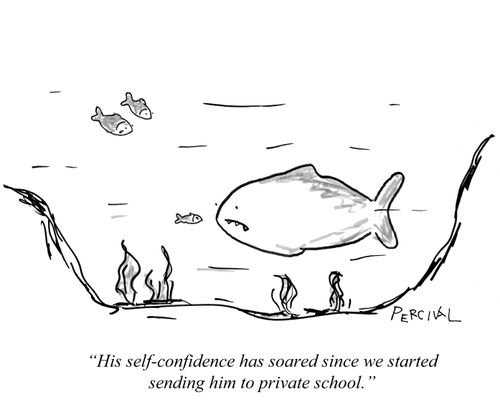 'His self-confidence has soared since we started sending him to private school.'